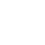 logo-dronelis