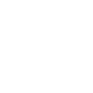 logo-dronelis