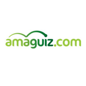 logo Amaguiz (référence groupe syd)