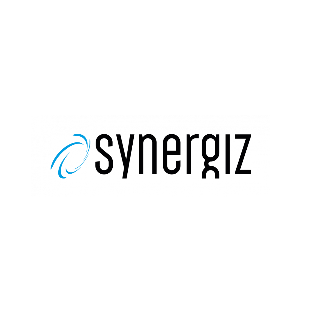 logo synergiz syd partner