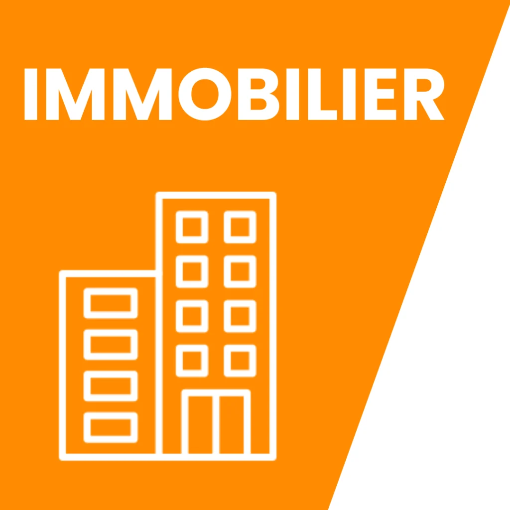 picto immobilier