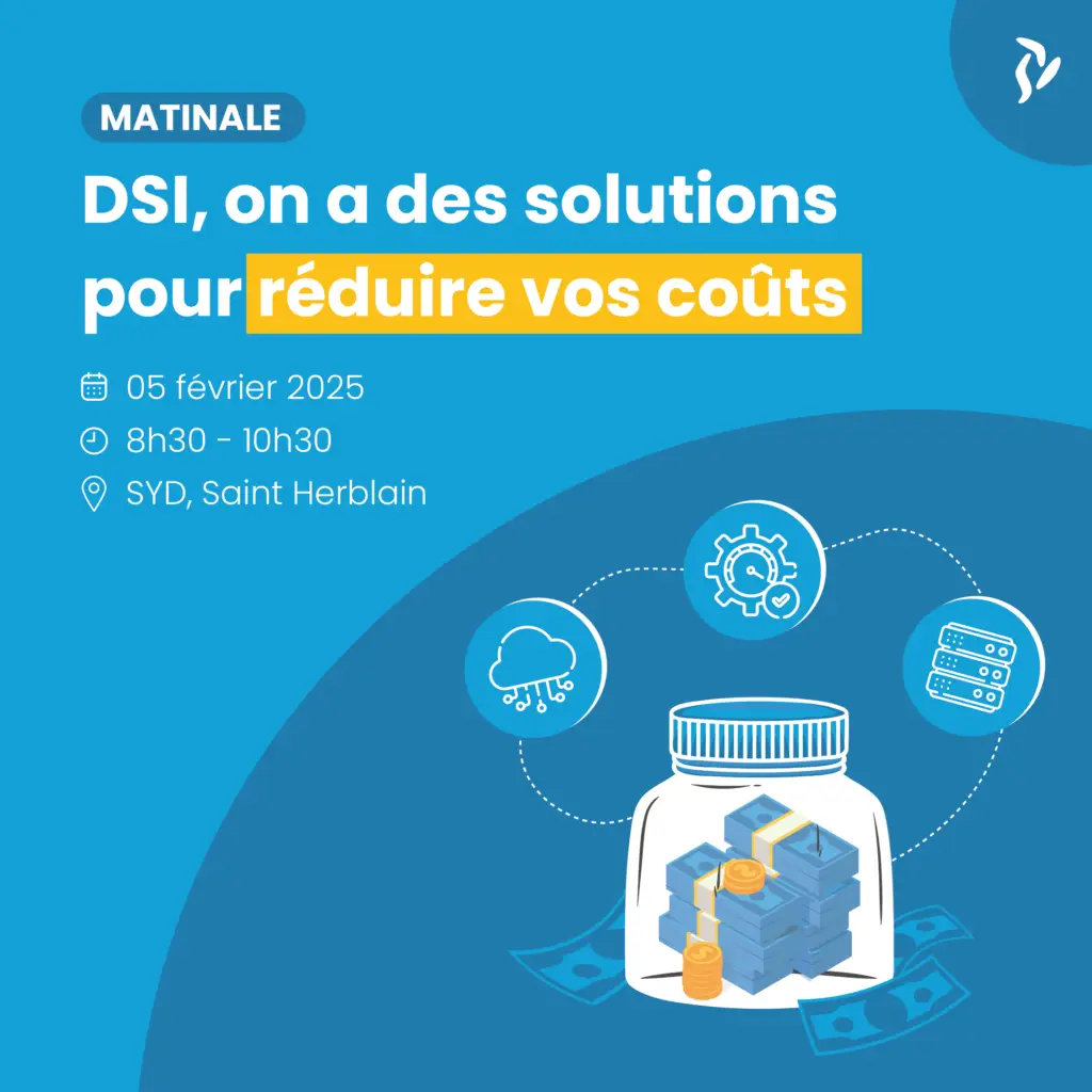 DSI - Réduire les couts_RS-carré