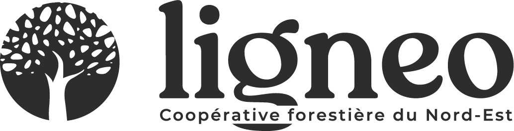 Logo Ligneo 01